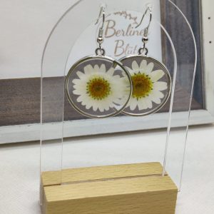 Gänseblümchen Ohrhänger in Edelstahl-Fassung