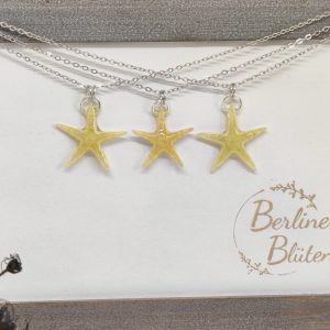 echte Seestern - Ketten