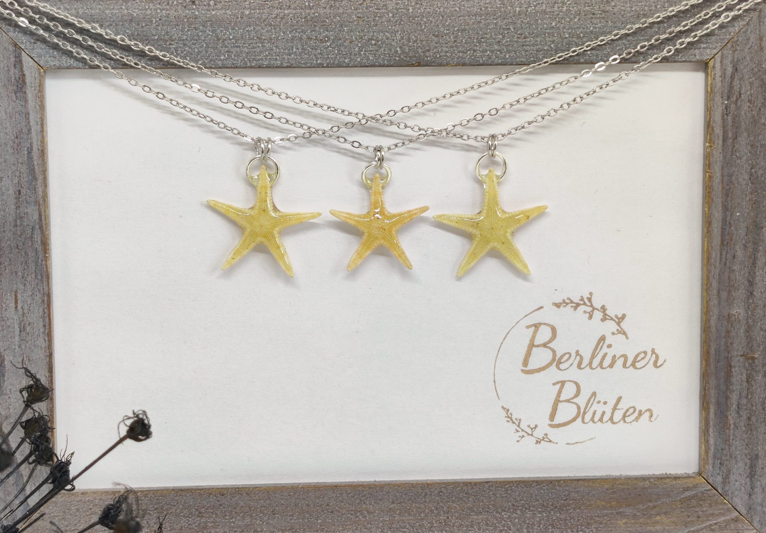 echte Seestern - Ketten