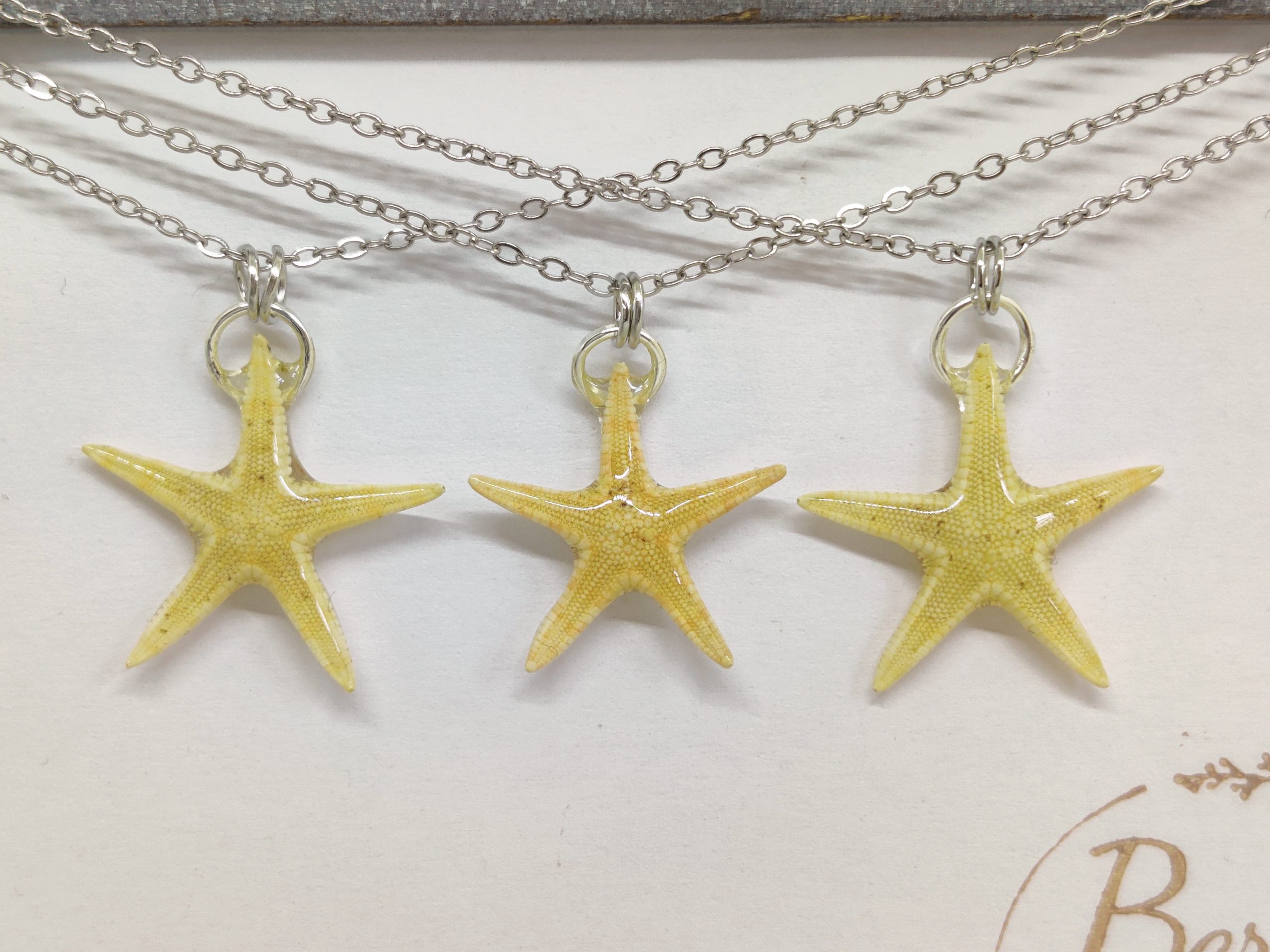 echte Seestern - Ketten – Bild 2