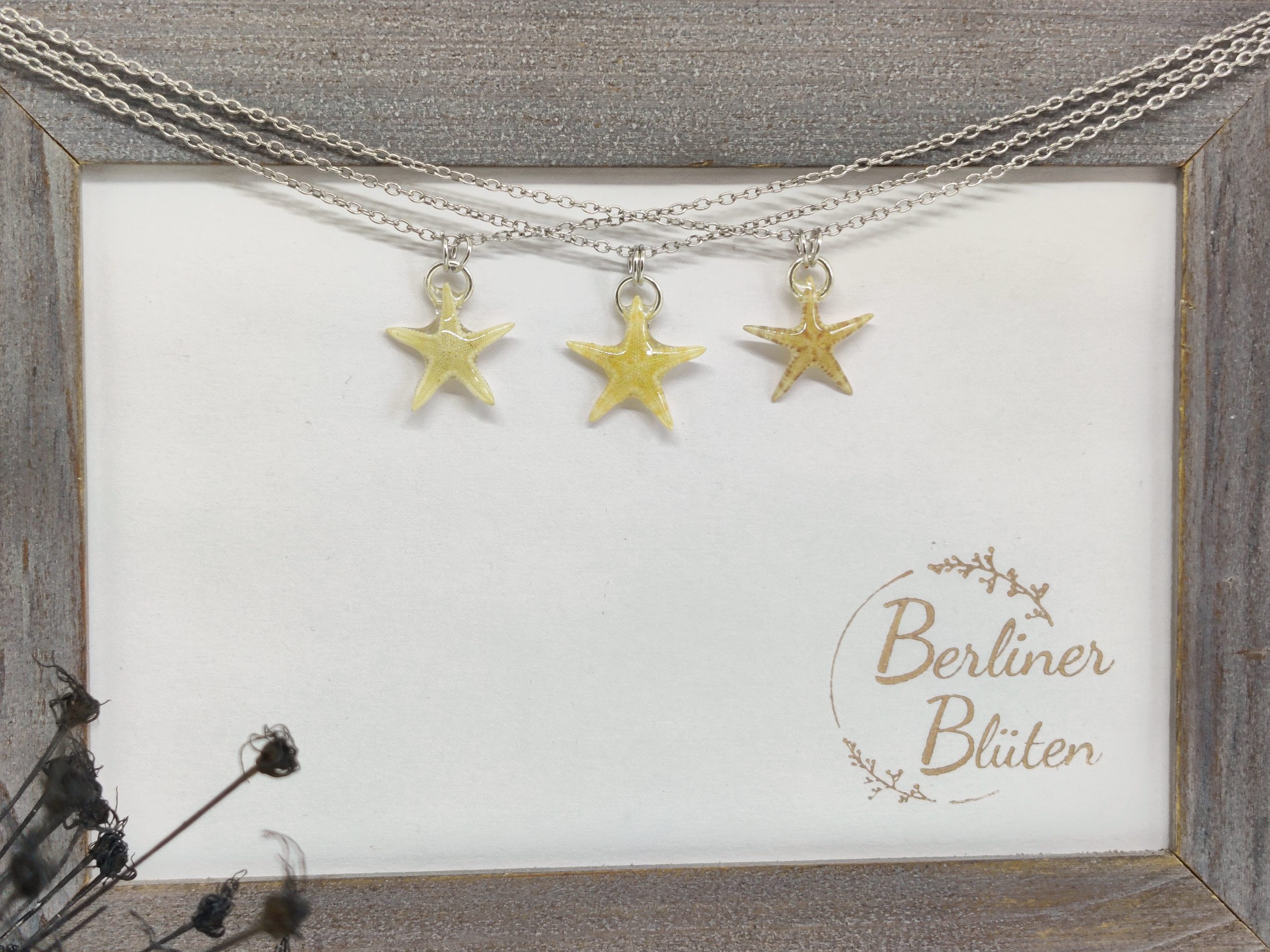 echte Seestern - Ketten – Bild 7