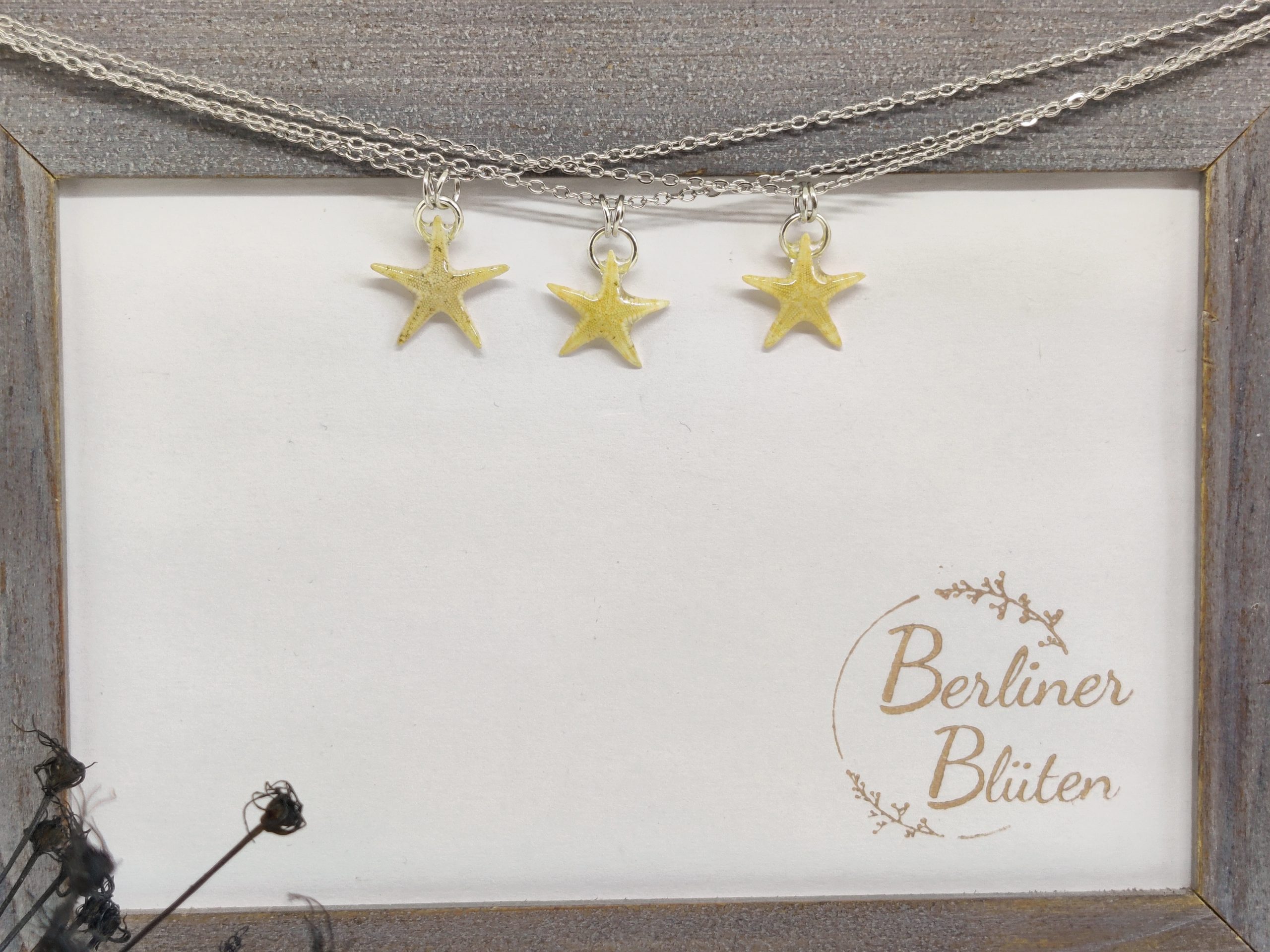 echte Seestern - Ketten – Bild 5