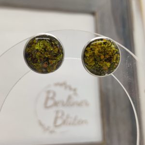 Wald Flechten Ohrstecker